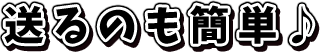 送るのも簡単